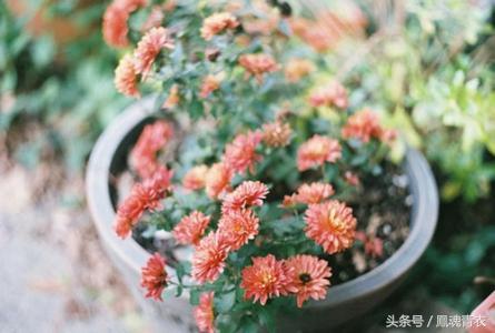 十句話,解千愁,一定要分享給好友
