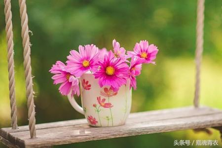 十句話,解千愁,一定要分享給好友