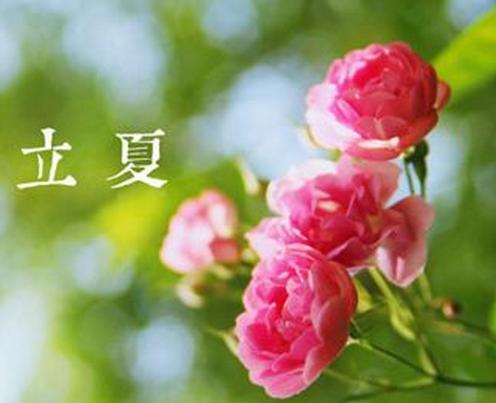 立夏,這兩樣養生食物記得吃