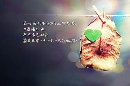 放寬你的心