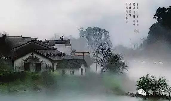 平和的心態,才是人生中最寶貴的財富
