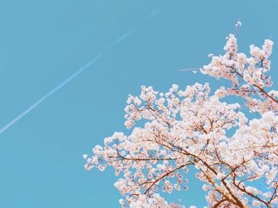 微信傷感句子句句心痛,讓人心疼