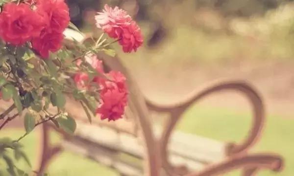 感情，因包容而美滿