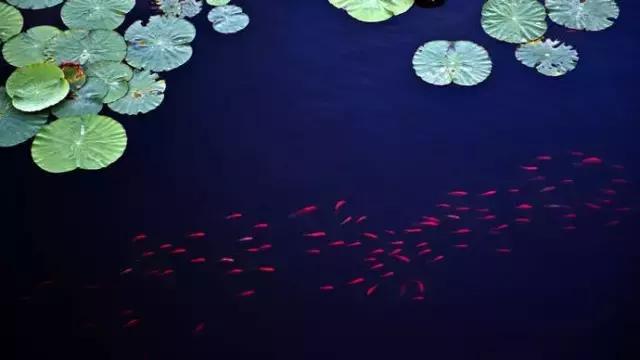 易經:隨和的人,到哪都有福氣