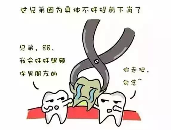 一顆牙齒掉了，其他牙齒在幹什麼？