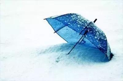 苦才是生活