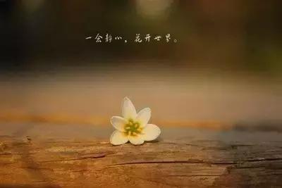 苦才是生活