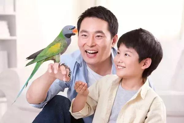 1個好父親=200個老師,當爹的都好好看看!