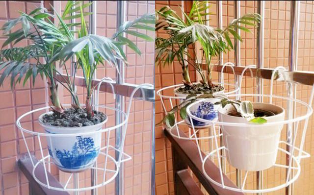 家裡植物養太多? 這樣放美觀又有格調
