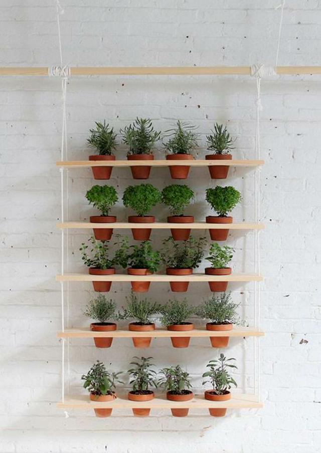 家裡植物養太多? 這樣放美觀又有格調