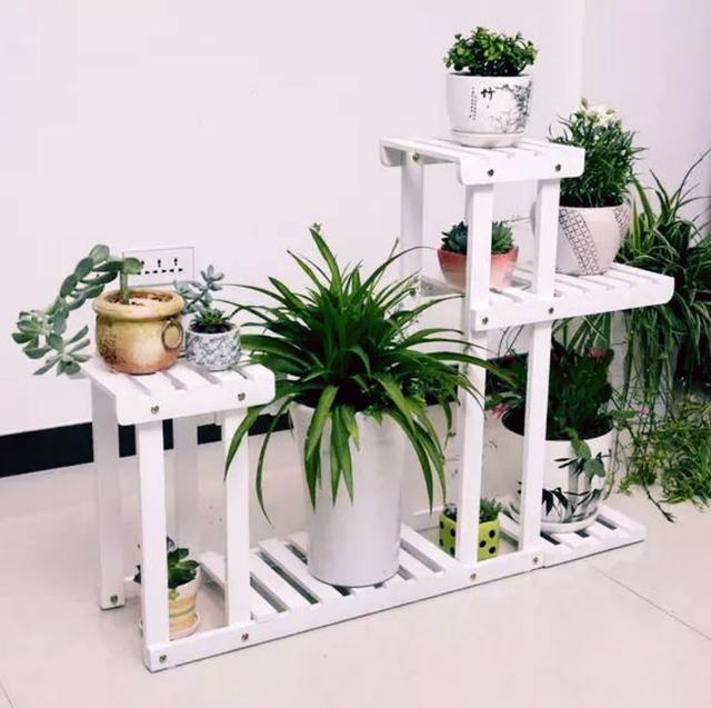家裡植物養太多? 這樣放美觀又有格調