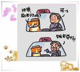 人生,最大破產,是透支信用