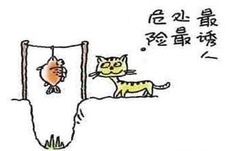 人生,苦於成熟,樂於成熟