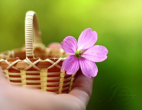 小清新經典漂亮的美圖心情說說短語句子