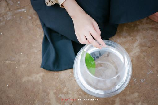 小清新經典漂亮的美圖心情說說短語句子