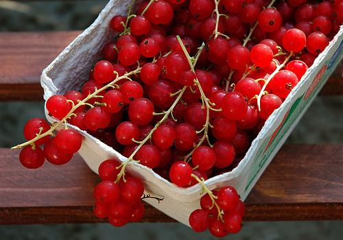 小清新經典漂亮的美圖心情說說短語句子