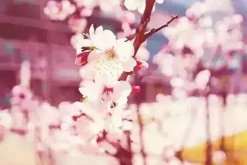 學會(寫的真好)