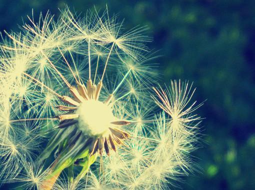 人到中年，快樂，經典，最好