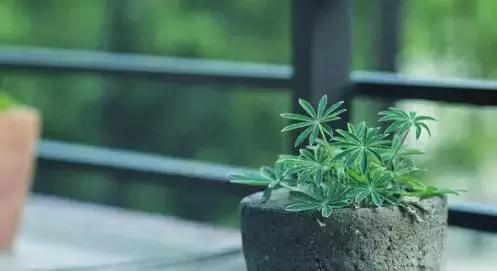 心就一顆，別累壞了ta