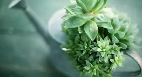 心就一顆，別累壞了ta