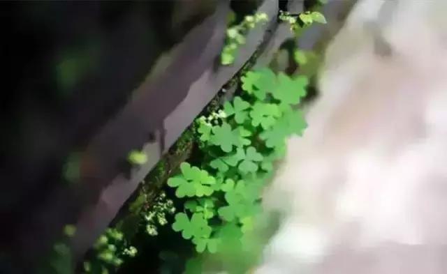 女人為什麼要努力掙錢？ 這是我見過最好的回答
