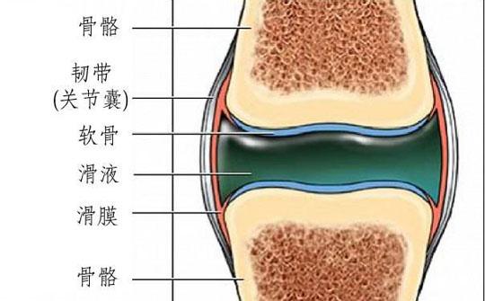 膝關節疼痛可能是得了這種病不及時治療可能會癱瘓