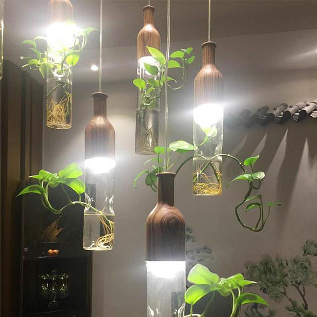 綠植入室,為家增添一份涼意