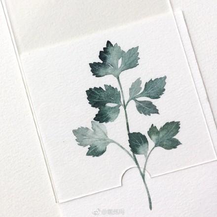 家居好盆友· 清涼無極限——意芙軟裝綠植薈萃!