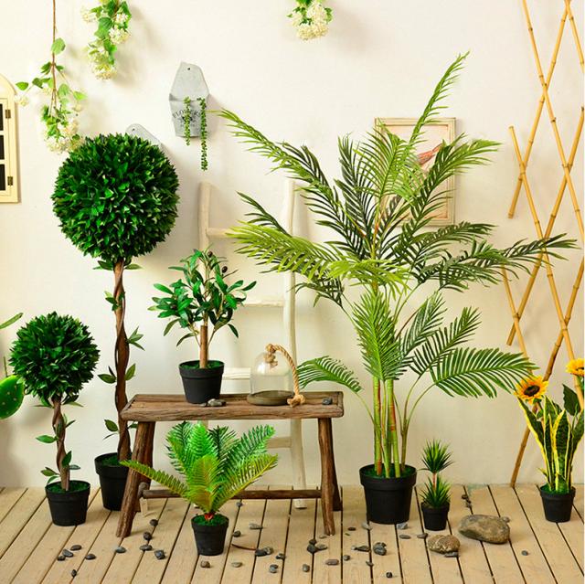 家居好盆友· 清涼無極限——意芙軟裝綠植薈萃!