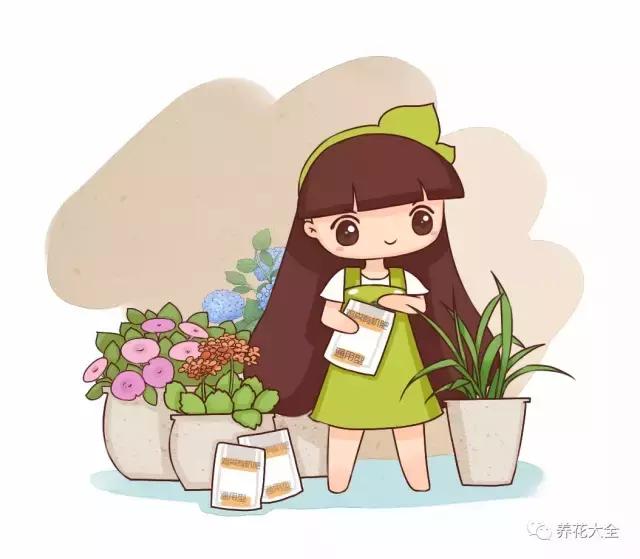 綠蘿吊蘭梔子爛根了別扔,一個動作就能起死回生!