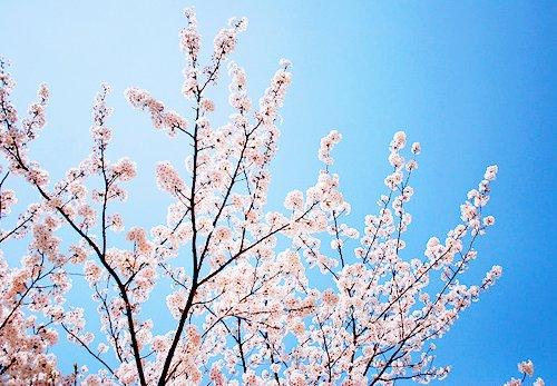 要么混日子等老，要么拼命贏未來
