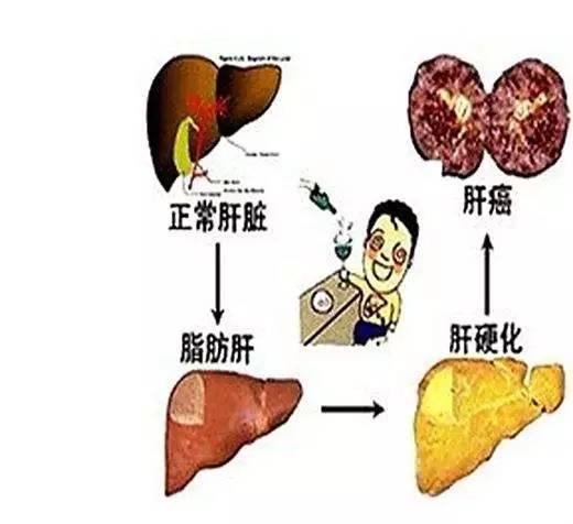 肝好,一切都好,肝差,未老先倒,肝淨,肌膚柔嫩