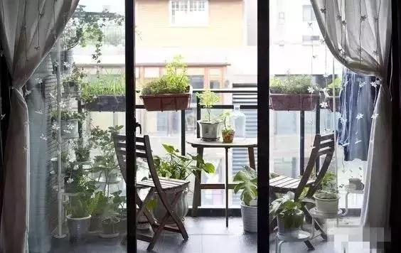 4步讓陽台逆襲成花園,不到10㎡的水泥地也可以美到有毒!
