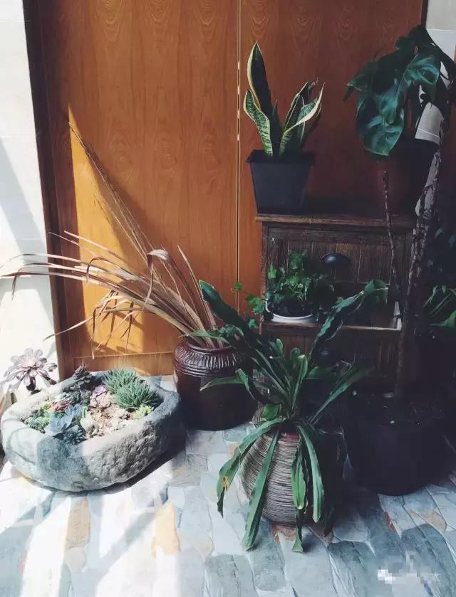 4步讓陽台逆襲成花園,不到10㎡的水泥地也可以美到有毒!