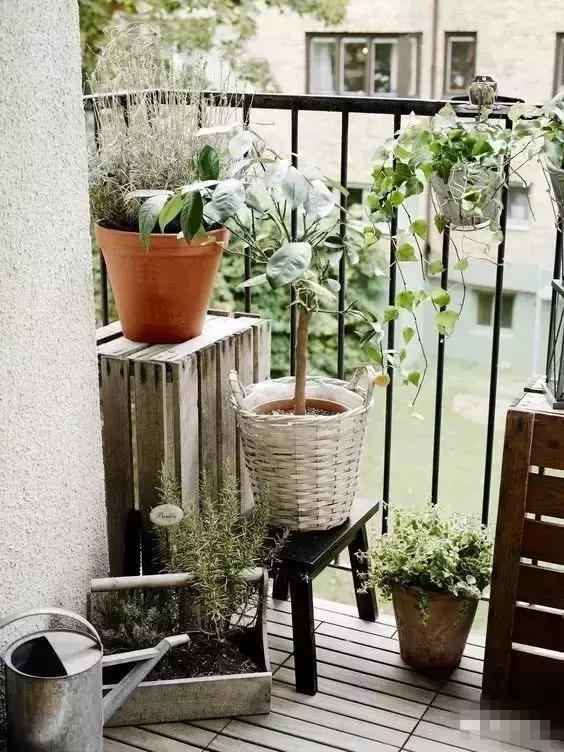 4步讓陽台逆襲成花園,不到10㎡的水泥地也可以美到有毒!
