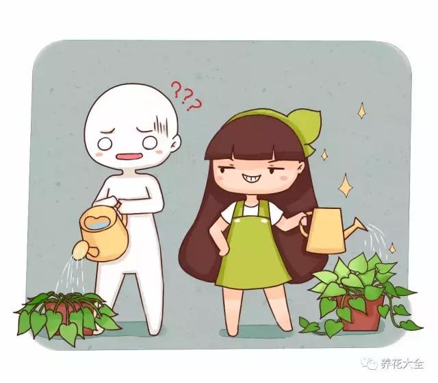 50種花夏季澆水大全,學不會花必死!