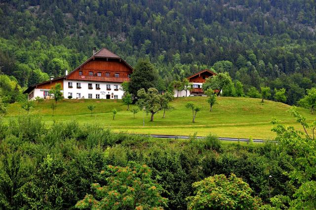 奇妙的旅行：走進奧地利，湖泊的仙境，讓你流連忘返