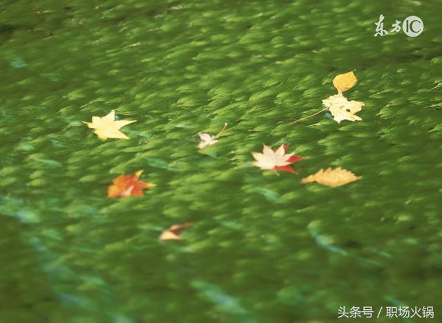 人到中年,懂這幾句話,證明你活明白了!