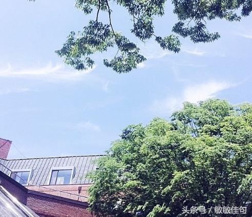 週末好，送你幾句戳心話，《寫的真好》