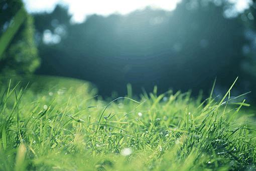 12星座不能說的秘密：射手座果斷獨立，摩羯座是泡妞高手