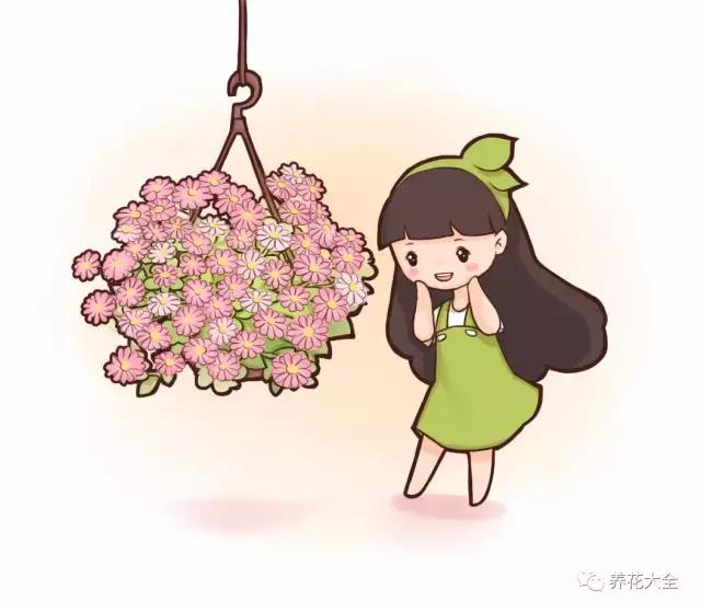 你的陽台不夠美,是因為你沒把花吊起來!