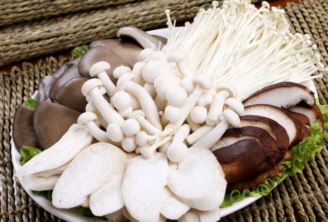 長期不吃肉的人,身體會發生什麼變化? 看完你還打算吃素嗎?