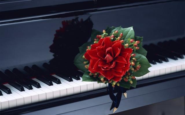 心情不好有點悲傷的人生感悟句子