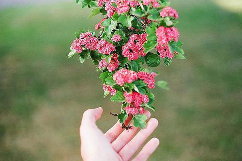 心情不好有點悲傷的人生感悟句子