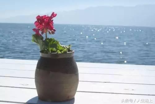 談錢傷什麼感情,不談錢才是傻子
