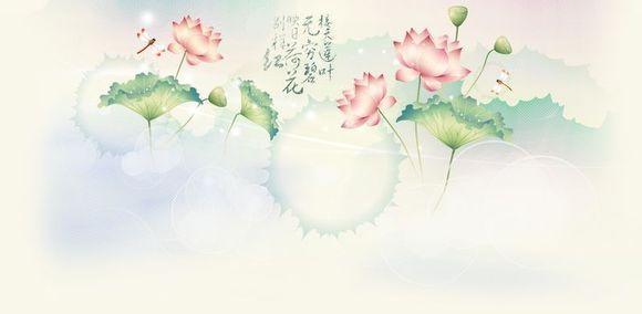 一句話最經典的人生哲理語錄