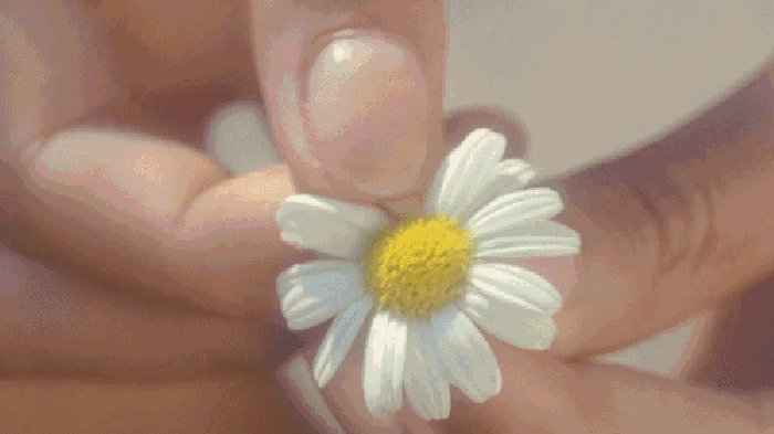 一生很短，永遠經不起等待