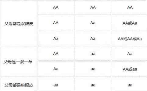 寶寶的眼睛像誰？ 怎麼養才能讓寶寶的眼睛更明亮？