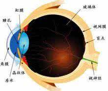 寶寶的眼睛像誰？ 怎麼養才能讓寶寶的眼睛更明亮？