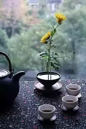 別太在意,人走茶涼,物是人非